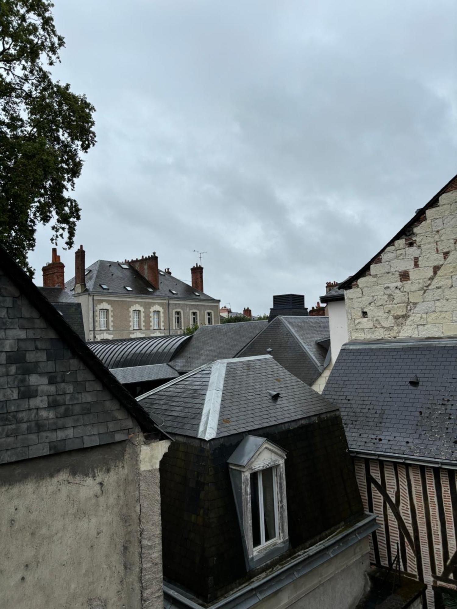 Appartement Chez Leo - Rue De La Scellerie à Tours Extérieur photo